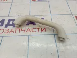 Ручка внутренняя потолочная Dodge Caliber QY67DW1AD