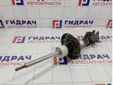 Амортизатор передний левый Fiat Grande Punto (199) 51796541