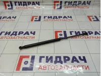 Амортизатор двери багажника Fiat Grande Punto (199) 51778432