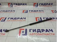 Амортизатор крышки (двери) багажника Ford C-MAX 1683725