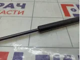 Амортизатор крышки (двери) багажника Ford C-MAX 1683725