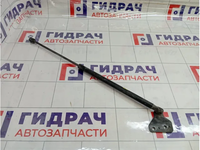 Амортизатор двери багажника левый Ford C-MAX 1683725