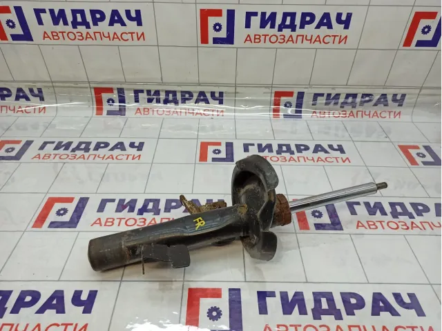 Амортизатор передний правый Ford C-MAX 1619269