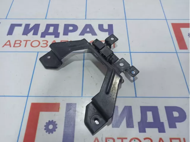 Кронштейн замка капота Ford EcoSport 1787575