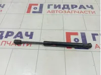 Амортизатор крышки (двери) багажника Ford Focus 5M51F406A10AB