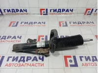 Амортизатор передний левый Ford Focus 1619274