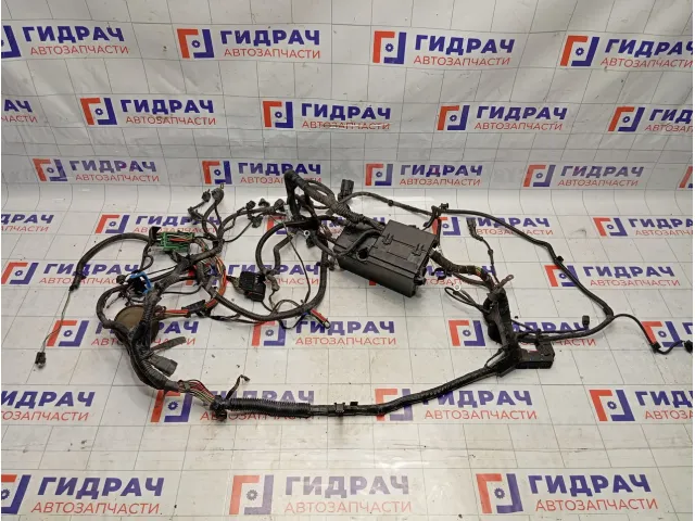 Проводка подкапотная Ford Focus 2 1544432