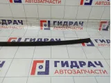 Молдинг крыши правый Ford Focus 1492081