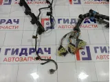 Проводка двигателя Ford Focus BV6T12A690BBC