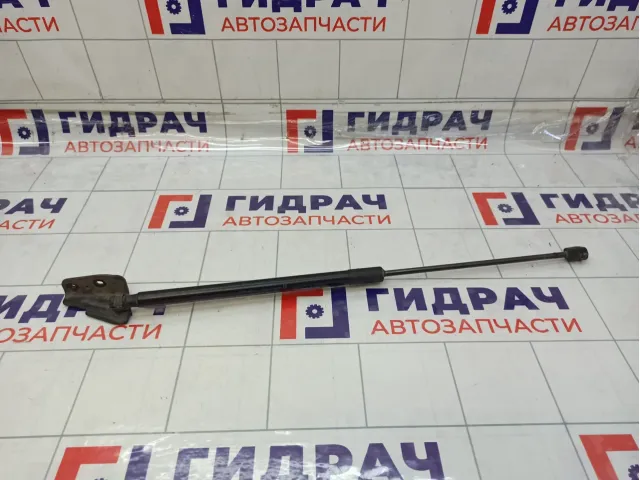 Амортизатор крышки (двери) багажника правый Ford Focus 1747492