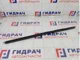 Уплотнитель стекла переднего левого Ford Focus 3 1747503