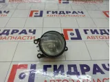 Фара противотуманная Ford Focus 3 1209177