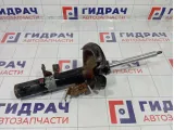 Амортизатор передний левый Ford Focus 1709759