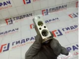 Клапан кондиционера Ford Focus 1720823