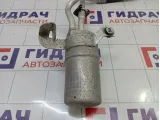 Осушитель системы кондиционирования Ford Focus 2 1466513