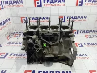 Блок двигателя Ford Focus 2 1360179