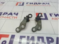 Петли двери задней левой Ford Focus 2