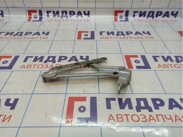 Петля крышки багажника левая Ford Focus 2 1595458