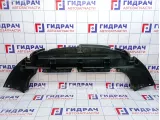 Защита антигравийная передняя Ford Focus 2 1521604