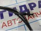 Трос открывания капота Ford Focus 3 1755064.