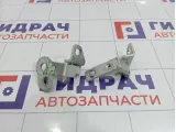 Петли двери передней правой Ford Focus 3