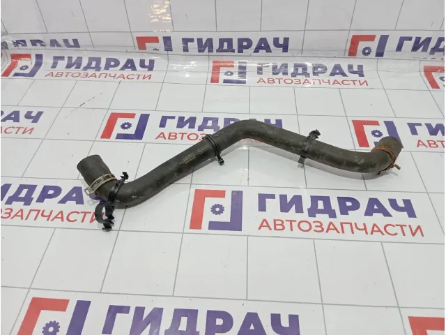 Патрубок радиатора верхний Ford Focus 3 1846352