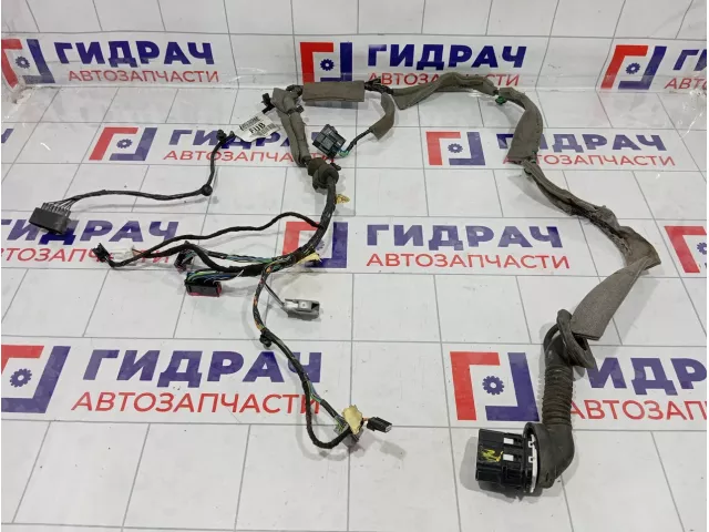 Проводка двери передней левой Ford Focus 3 1809510