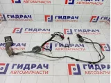 Проводка двери задней левой Ford Focus 3 1833521