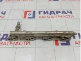 Рейка топливная (рампа) Ford Focus 3 1923350