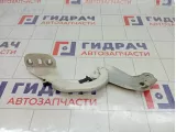 Петля капота правая Ford Focus 3 1750016