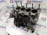 Блок двигателя Ford Focus 3 5116161