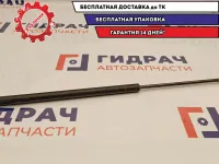 Амортизатор двери багажника Ford Fusion 1436155.