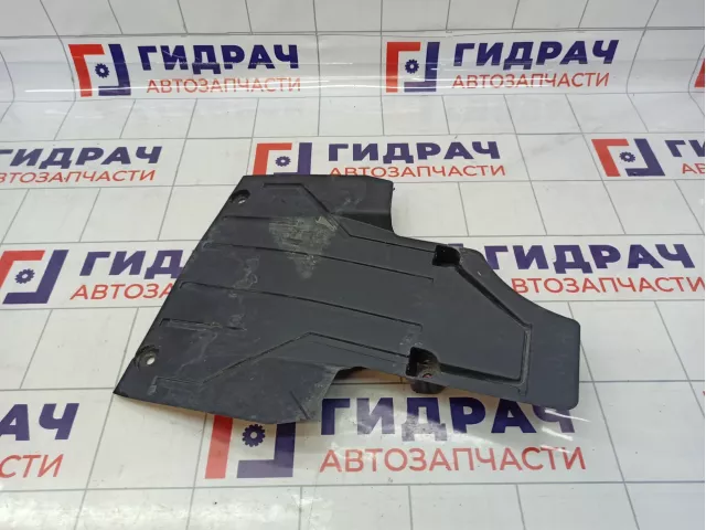 Защита антигравийная Ford Kuga (CBS) 5163757