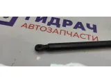 Амортизатор двери багажника правый Ford Kuga 2 1945552.