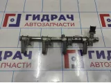 Рейка топливная (рампа) Ford Kuga 1752563