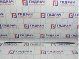 Молдинг крыши левый Ford Kuga 2032913