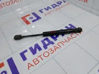 Амортизатор капота Ford Mondeo 1120812