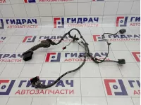 Проводка двери задней левой Ford S-MAX 1541888