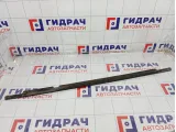 Накладка стекла заднего левого GAC GS8 5410011CAD0200L2Z