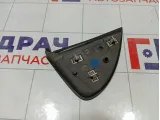 Накладка двери наружная задняя правая GAZ Volga Siber