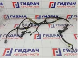 Проводка двери передней правой Geely Atlas 6600122698