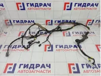 Проводка двери передней правой Geely Atlas 6600122698