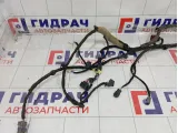 Проводка двери передней правой Geely Atlas 6600122698