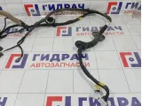 Проводка двери передней правой Geely Atlas 6600122698