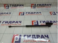 Амортизатор крышки (двери) багажника левый Geely Atlas 01826563