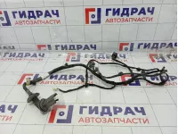 Проводка двери задняя правая Geely Atlas (NL-3) 60042159