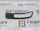 Рамка противотуманной фары левой Geely Emgrand EC7 1068001652