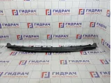 Решетка стеклоочистителя Geely Emgrand EC7 1068001610