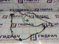 Проводка потолка Geely Emgrand EC7 1067001192