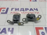 Петли двери задней правой Geely Emgrand EC7